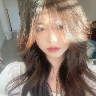 麒麟之翼