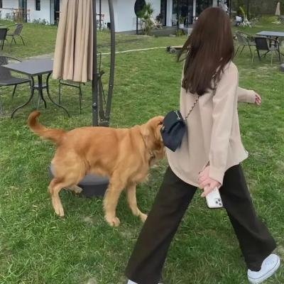 骗子2017